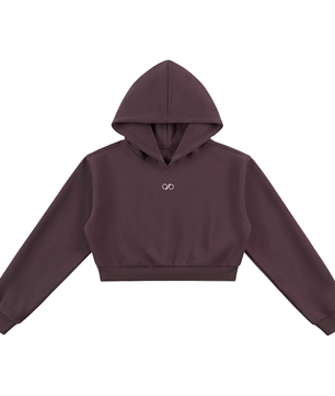 DVLP Luxe Workout Crop Hoodie