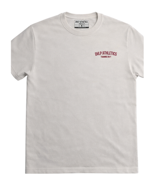 DVLP Unbreakable Heavyweight Graphic Tee