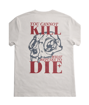 DVLP Unbreakable Heavyweight Graphic Tee