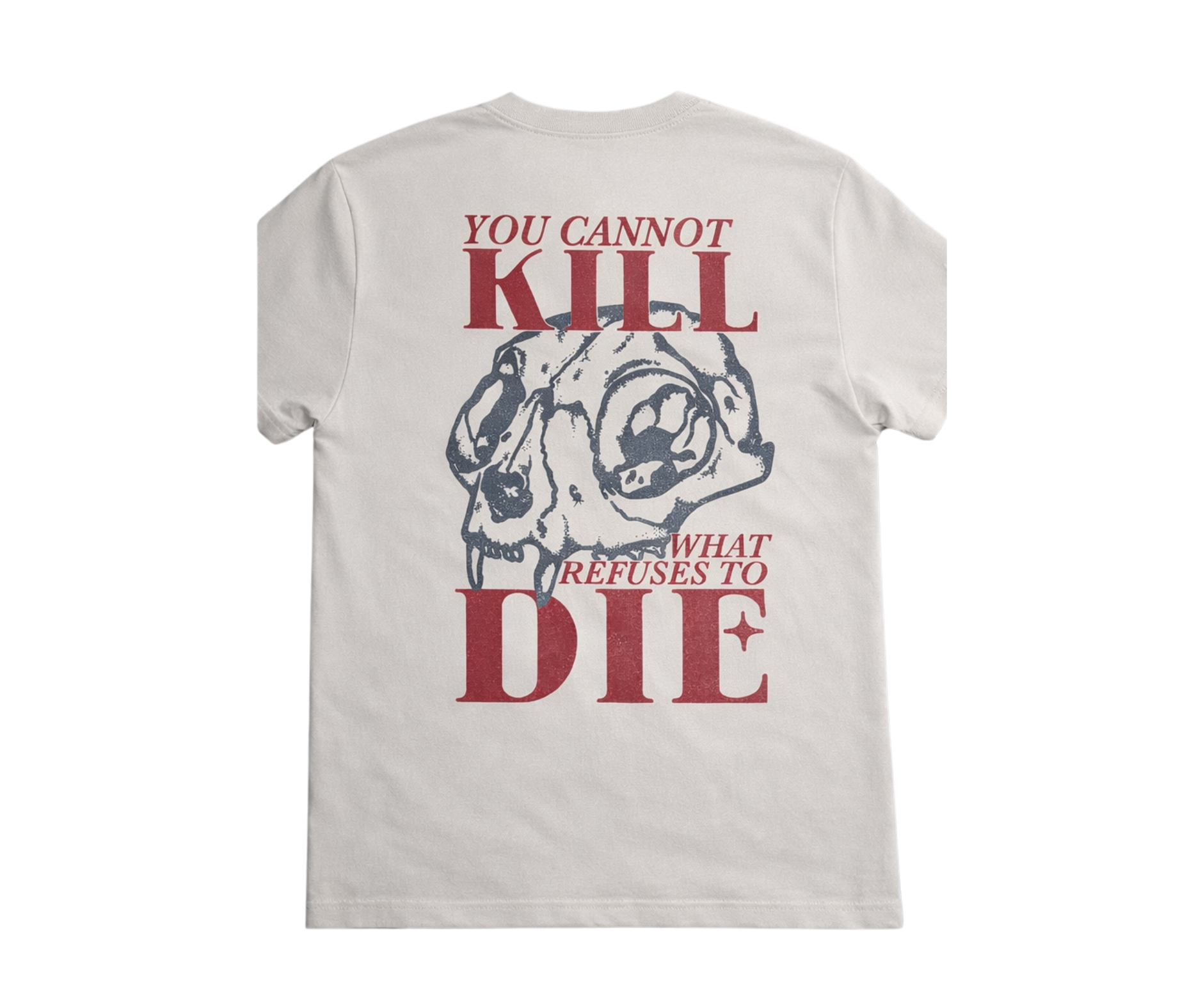 DVLP Unbreakable Heavyweight Graphic Tee