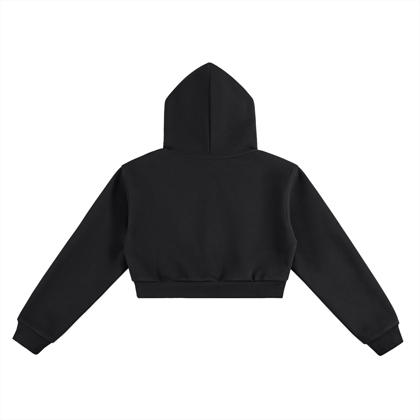 DVLP Luxe Workout Crop Hoodie